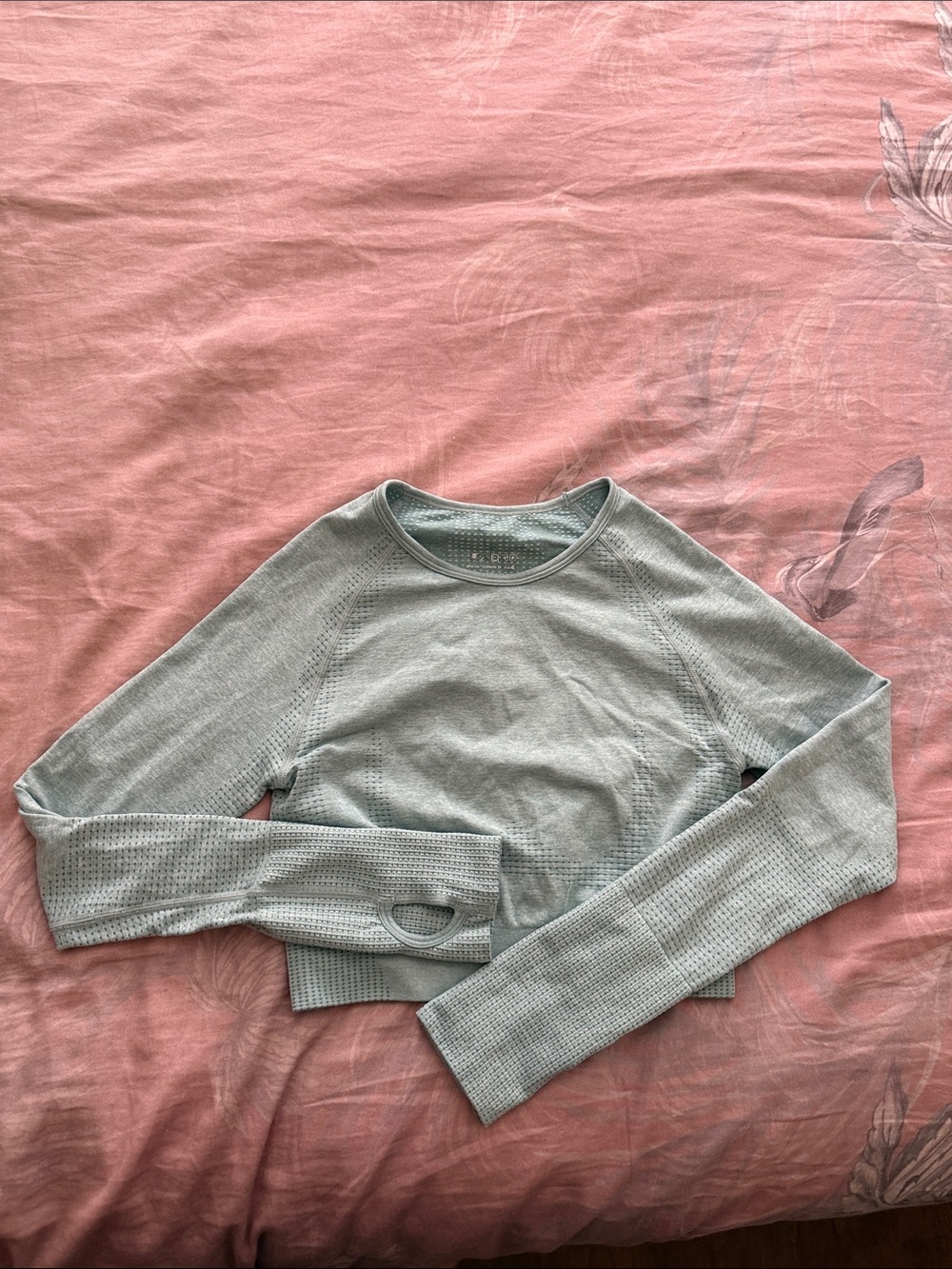 Light Seafoam Green Long-Sleeve Seamless Crop Top